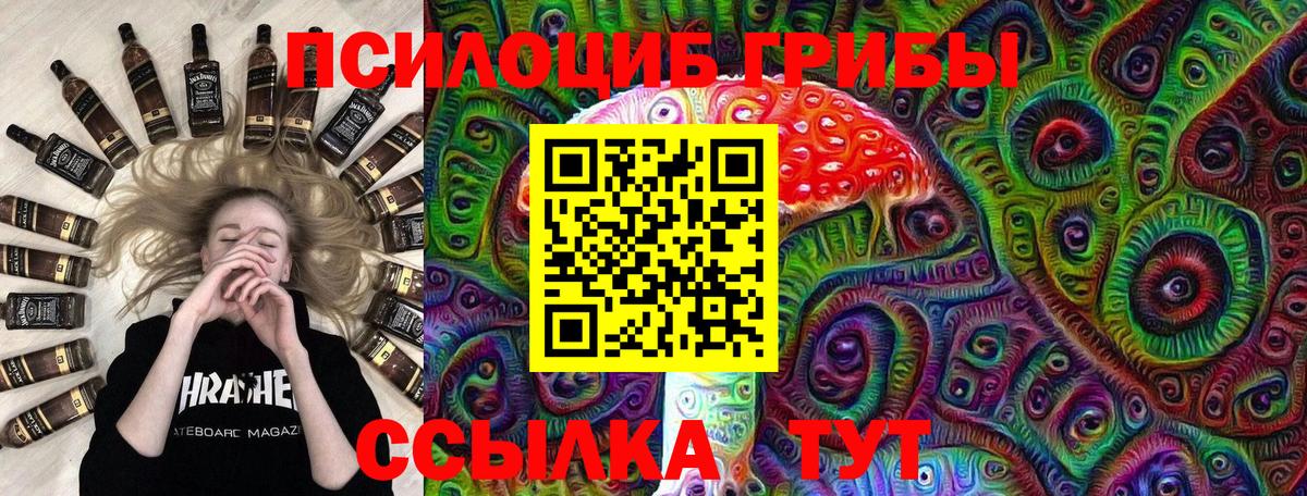 Псилоцибиновые грибы Cubensis  Галлюциногенные грибы Cubensis  Вход с VPN  Сальск 