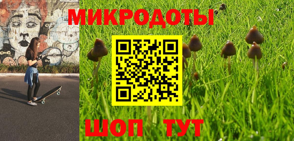 Галлюциногенные грибы Psilocybine cubensis Сальск