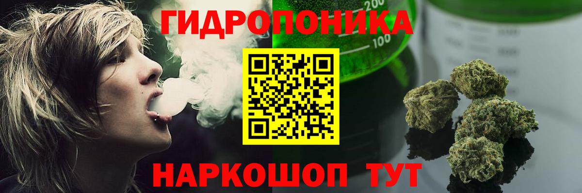 Кодеин Сальск